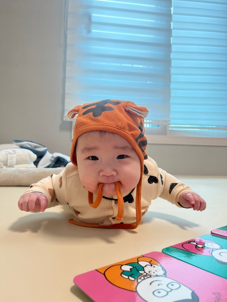 호랑이 어흥